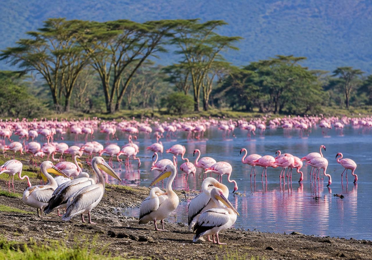 Lake Nakuru